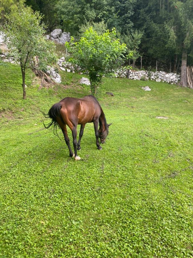Posestvo Tmzek Villa Bovec Exterior foto
